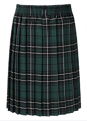 Goldington Green Academy Tartan Skirt (Bottle/Multi)