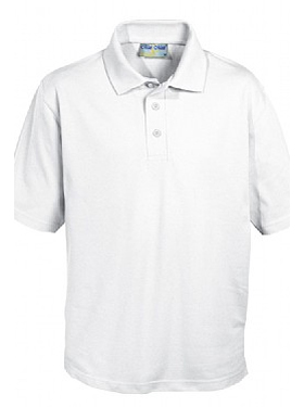 BANNER COTTON PENTHOUSE POLOSHIRT (112086)