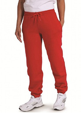 BANNER SELECT JOG PANT (111987)