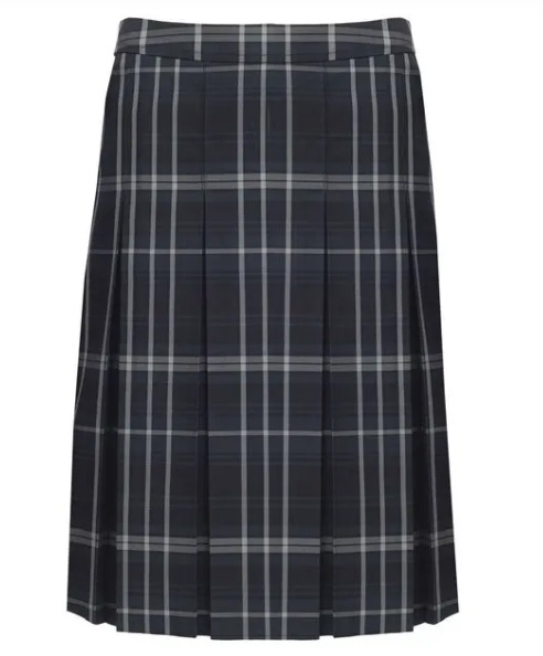 Bedford Academy Pleated Skirt (Navy)