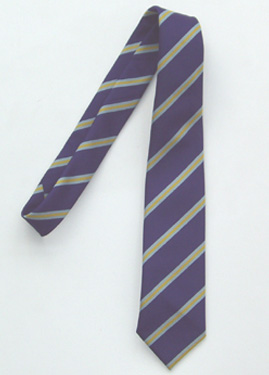 Bedford Free School Tie
