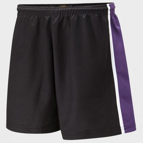 Bedford Free School Panelled Sports Short