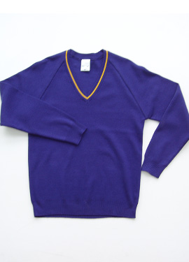 Bedford Free School V-Neck Pullover