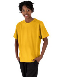 INNOVATIONS PHOENIX AIRTEX T-SHIRTS