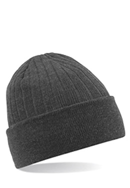 THINSULATE_X000D_  BEANIE