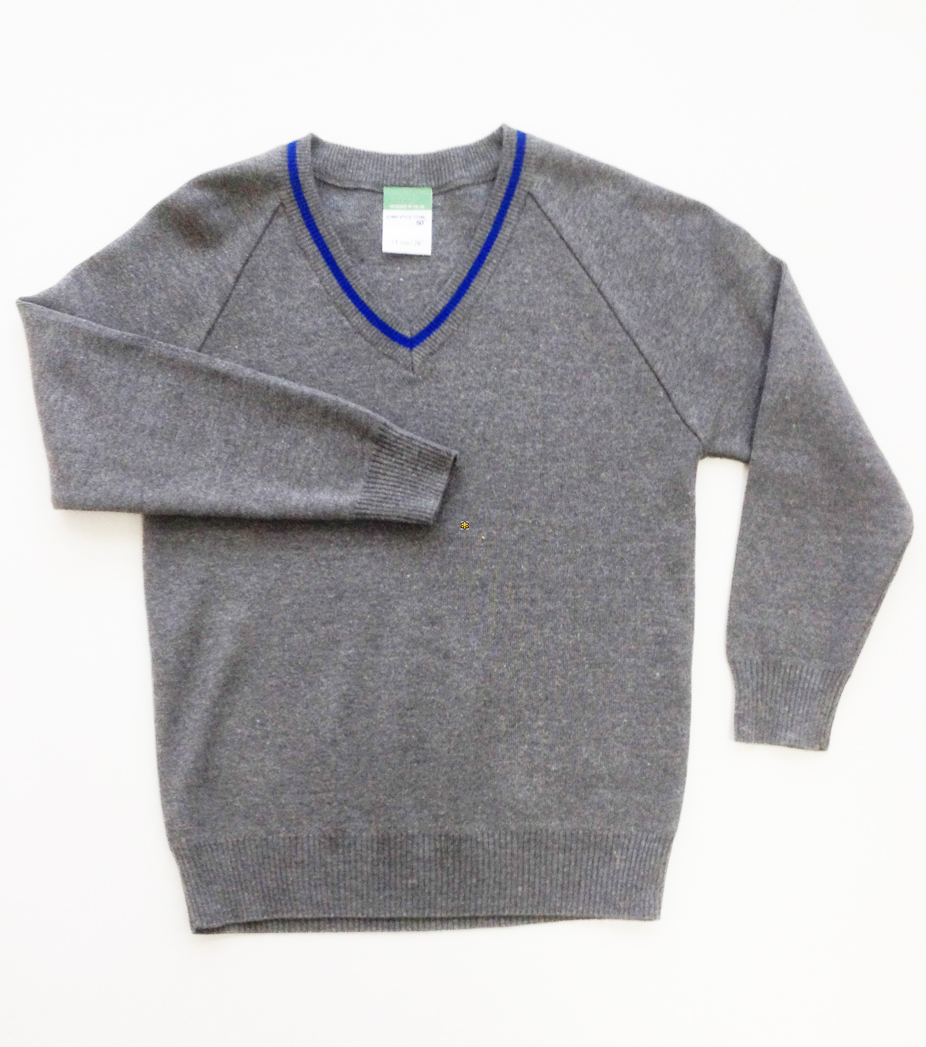 Castle Newnham Secondary V-Neck Jumper (Grey/Royal)