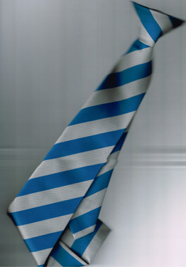 Daubeney Academy Clip-On Tie (Royal/White)