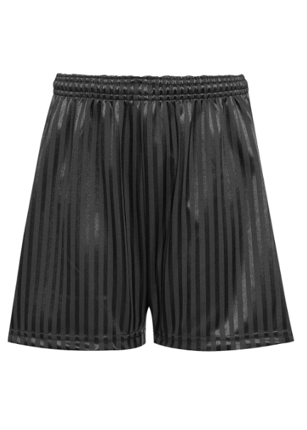 PLAIN SHADOW STRIPE SHORTS (BLACK)