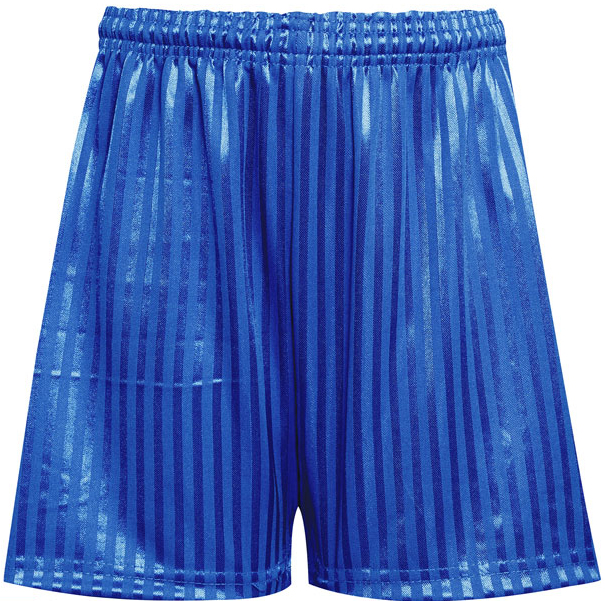 PLAIN SHADOW STRIPE SHORTS (ROYAL)