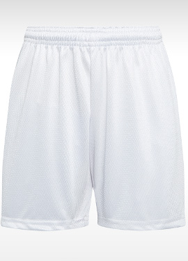 DAVID LUKE MESH SHORTS