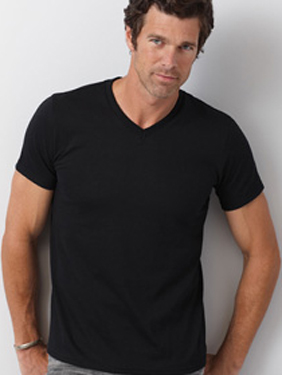 SOFT STYLE V-NECK T SHIRT