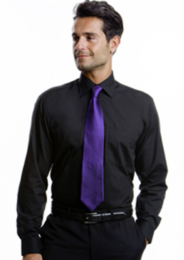 CLASSIC FIT LONG SLEEVE BUSINESS SHIRT