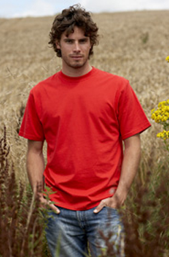 MENS ORGANIC TEE