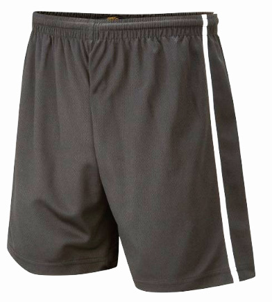 Falcon Panelled Mesh Sports Short