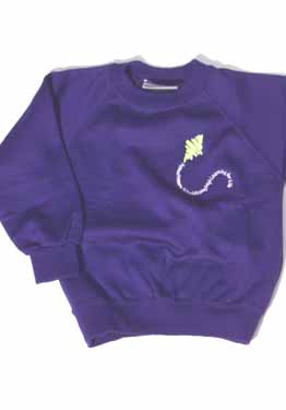Putnoe Primary Sweatshirt (Purple)