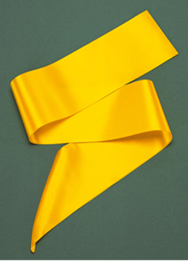 RIBBON SASH