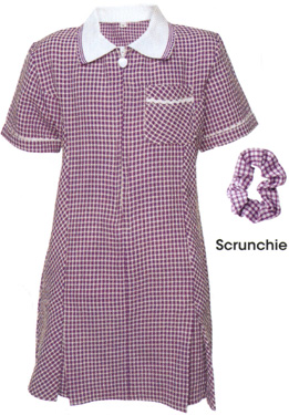 GinghamDummer Dress