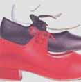 Ladies Tap and Caracter Shoes