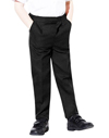 Boys Junior School Trousers