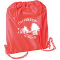 Direct To School Shoe Bags