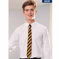 Boys Slim Fit School Shirts