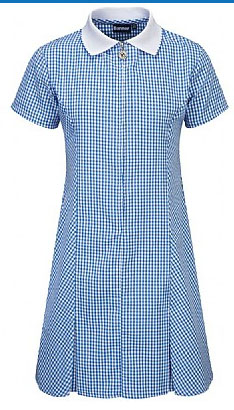 BANNER FRONT ZIP GINGHAM DRESS (BLUE)