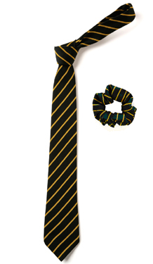 Thin Striped Ties