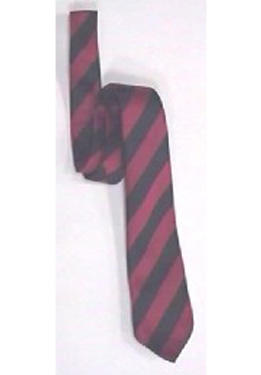 Westfield School Tie 45